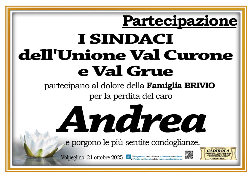 Partecipazione