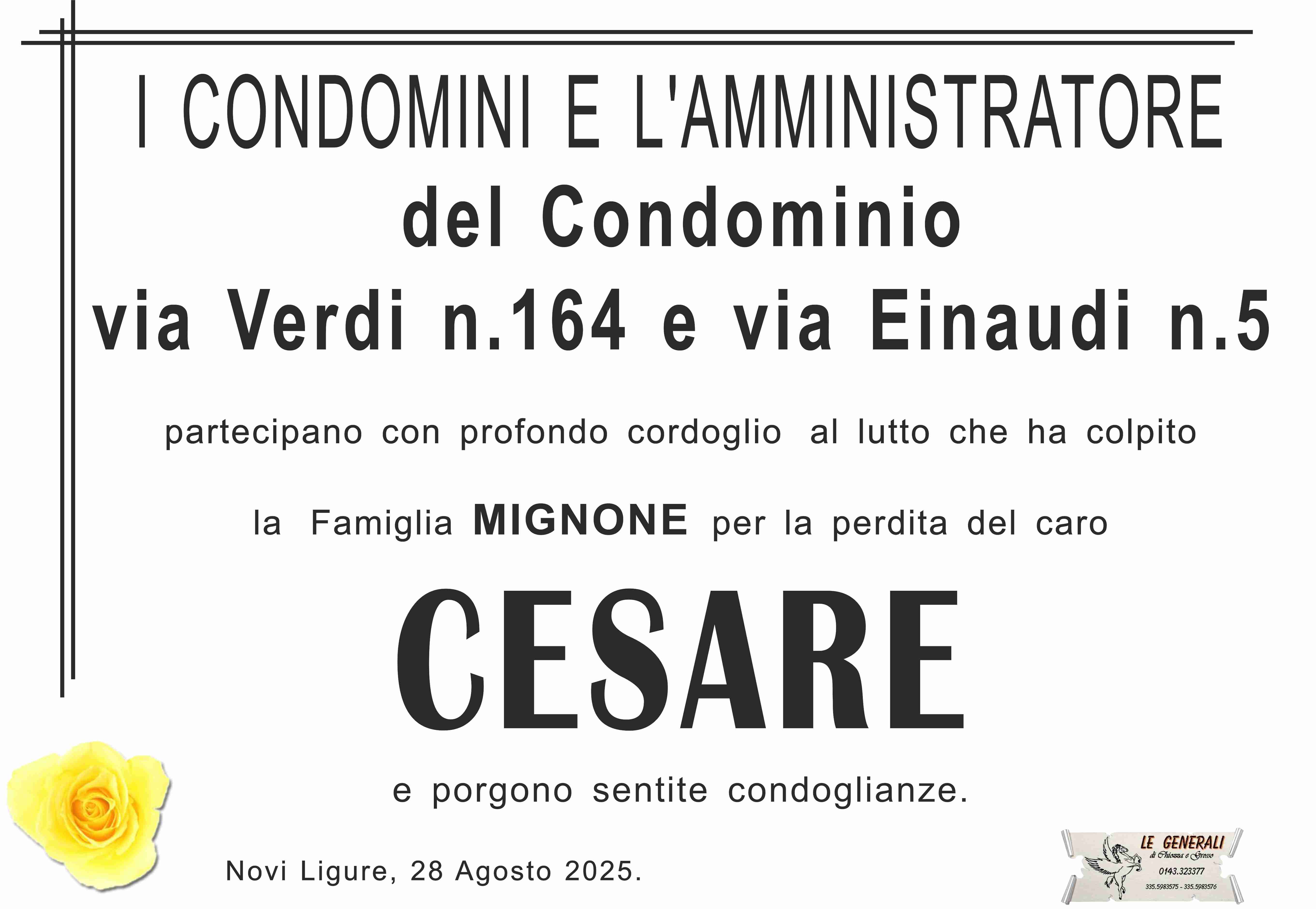 Partecipazione