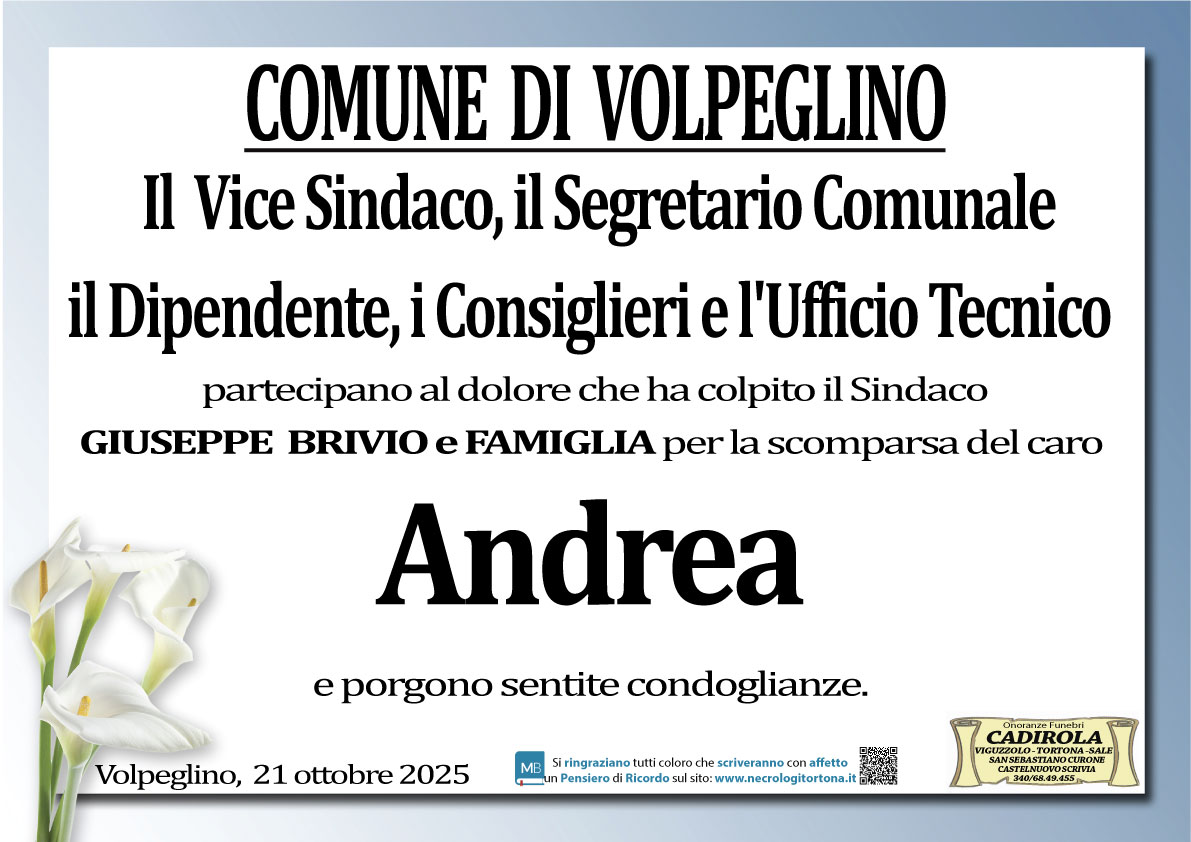 Partecipazione
