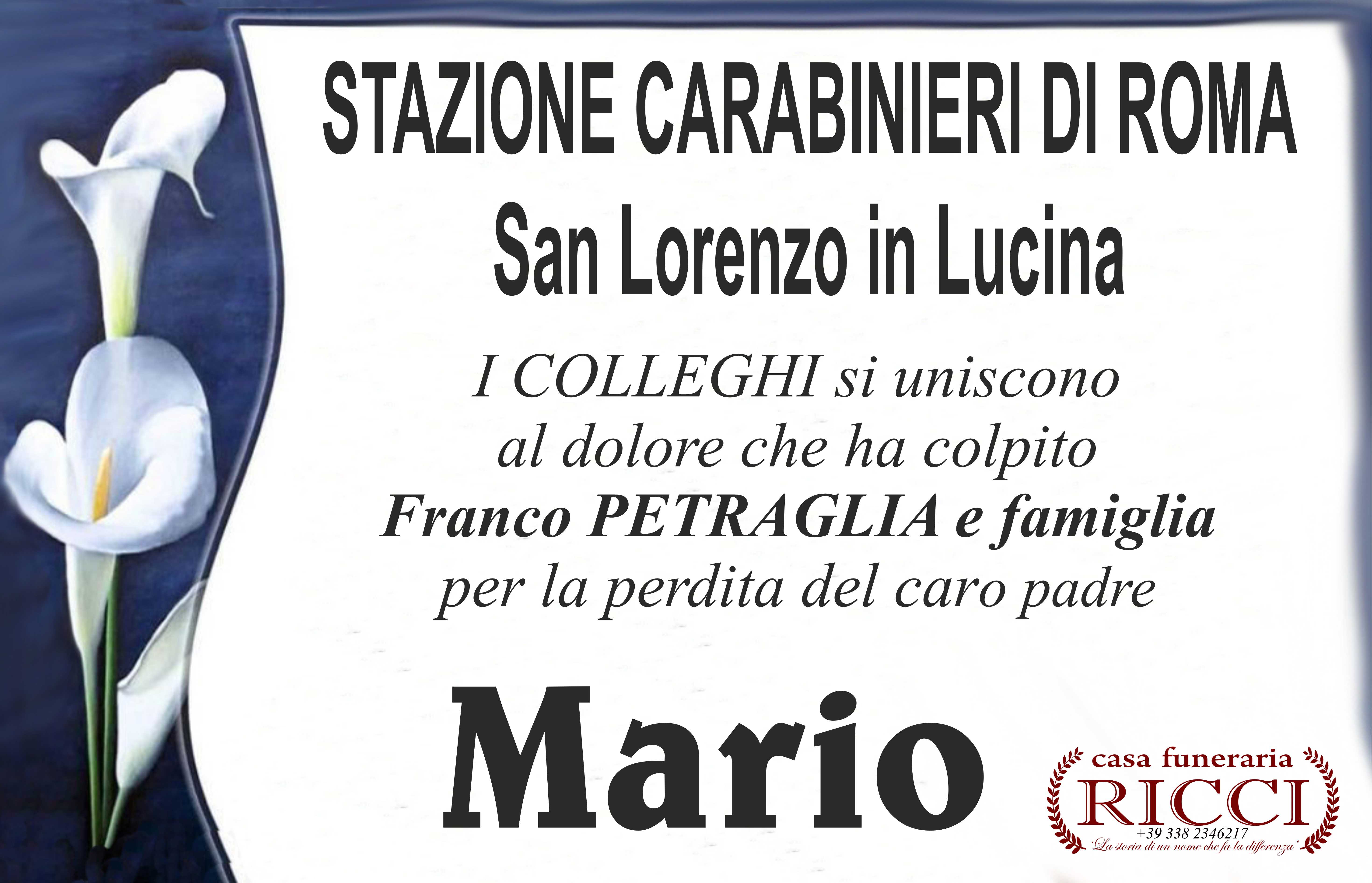 Partecipazione