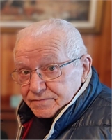 Mario Pietro Vismara