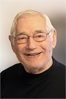 Giuseppe Pugliese (MI) 