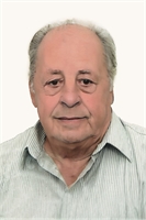 Vincenzo Fulghesu (MI) 