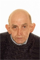 Rino Orsi