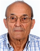 Michele D Agostino