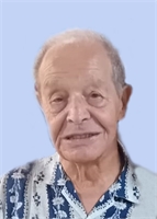 Tammaro Auletta (NA)