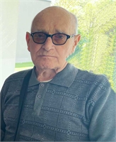 Vittorio Tognazzo (PD) 