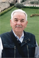 Mario Garavaglia (MI) 