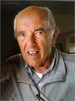 Franco Zambonati (FE) 