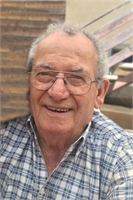 Mario Azzarelli (VA) 