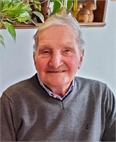 Zeno Francesco Bertolin (PD) 