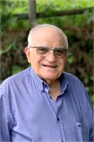 Giuseppe Fogagnolo (MI) 