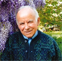 Domenico Franzero