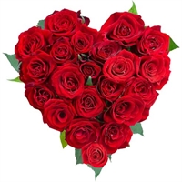 Rosa Marchetta