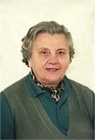 Rosa Asterio (MI) 