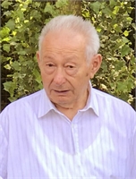 Celso Veronesi (FE)