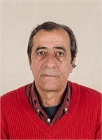 Mauro Ferlicca