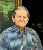 Doris Visentin (PD)