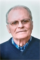 Luigi Bergamaschi