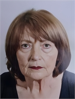 Rosa Falace Ved. Meer (CE) 