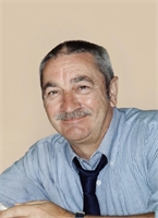 Virginio Bergamaschi