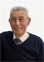 Lorenzo D Amato