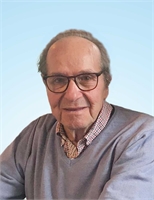 Giovanni Foltran (PD)