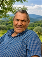 Taddeo Careddu