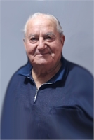 Domenico Moscatiello