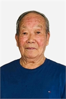 Shuangwen Zhu (MI) 