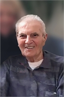 Terenzio Bollasina (MI) 