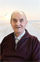 Mario Rossi (VA) 