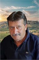 Mario Anselmi
