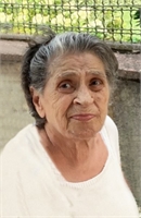 Elisabetta Pisani Guarini