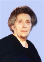 Rosa Spillino Ved. Meta (NA) 