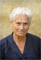 Rosa Meraviglia Ved. Coltro (MI) 