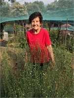 Francesca Giau Solinas