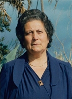 Felice Cipolloni