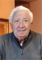 Bruno Torrigiani (VT) 
