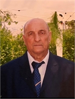 Rocco Tudisco